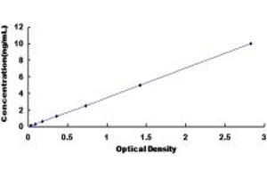 Typical standard curve (Calsyntenin 2 ELISA 试剂盒)