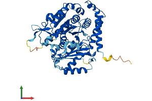 Protein Structure (PS) image for Tubulin, alpha 1c (TUBA1C) (AA 1-449) protein (His tag) (ABIN7556660)