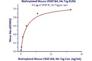 Image no. 3 for Vascular Endothelial Growth Factor A (VEGFA) (AA 27-190) (Active) protein (His tag,AVI tag,Biotin) (ABIN4949052)