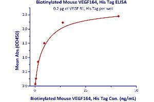 Measured by its binding ability in a functional ELISA. (VEGFA Protein (AA 27-190) (His tag,AVI tag,Biotin))