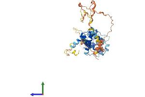 AlphaFold protein structure predicition of Human Recombinant CNPPD1 Protein, UniprotID Q9BV87
