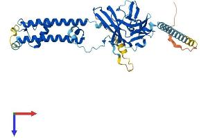 KCNJ8 Protein (AA 1-424) (His tag)