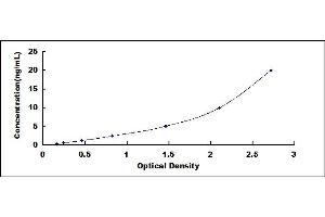 Typical standard curve (LPAR3 ELISA 试剂盒)