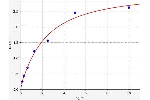 Typical standard curve (SHARPIN ELISA 试剂盒)