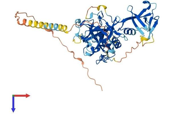 TMPRSS5 Protein (AA 1-457) (His tag)