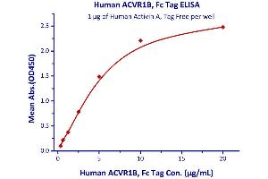 Measured by its binding ability in a functional ELISA. (ACVA Protein (AA 311-426))