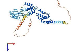 AlphaFold protein structure predicition of Human Recombinant PNMA6A Protein, UniprotID P0CW24