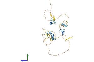 AlphaFold protein structure predicition of Human Recombinant ZNF385B Protein, UniprotID Q569K4