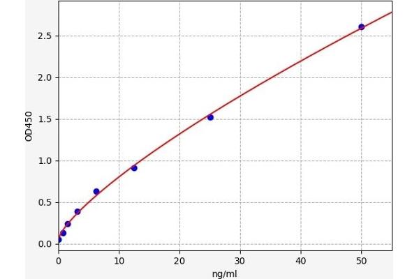 Leukotriene B4 Receptor/BLT ELISA 试剂盒