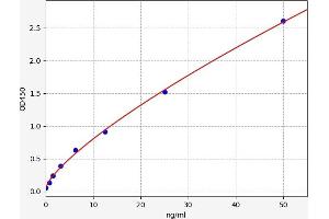 Typical standard curve (Leukotriene B4 Receptor/BLT ELISA 试剂盒)