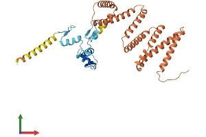 Protein Structure (PS) image for Zinc Finger Protein 781 (ZNF781) (AA 1-355) protein (His tag) (ABIN7545693)