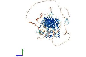 Protein Structure (PS) image for Small Optic Lobes Homolog (SOLH) (AA 1-1086) protein (His tag) (ABIN7552836)