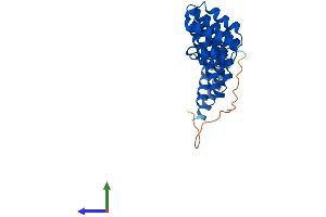 Protein Structure (PS) image for N-Ethylmaleimide-Sensitive Factor Attachment Protein, gamma (NAPG) (AA 1-312) protein (His tag) (ABIN7546252)