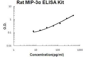 Rat MIP-3 alpha/CCL20 PicoKine ELISA Kit standard curve