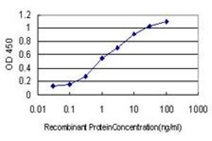 Detection limit for recombinant GST tagged HGS is approximately 0. (HGS 抗体  (AA 513-612))