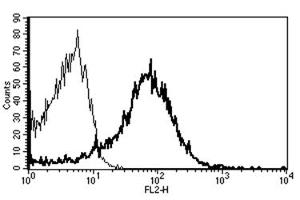 Flow Cytometry (FACS) image for anti-CD82 (CD82) antibody (PE) (ABIN1106589) (CD82 抗体  (PE))