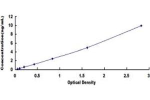 Typical standard curve (FOLR2 ELISA 试剂盒)