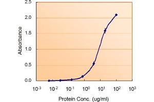 ABIN190766 (5ug/ml) as the reporter with  as the capture rabbit antibody (5ug/ml). (Glucose-6-Phosphate Dehydrogenase 抗体  (AA 308-320))