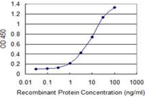 Detection limit for recombinant GST tagged MYST3 is 0. (MYST3 抗体  (AA 81-179))