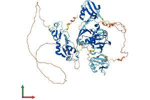 Protein Structure (PS) image for Ligand of Numb-Protein X 1 (LNX1) (AA 1-728) protein (His tag) (ABIN7554415)