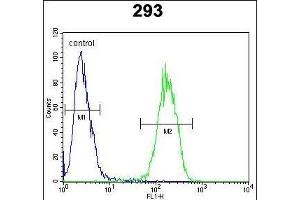 IL17F Antibody (N-term) (ABIN654914 and ABIN2844560) flow cytometric analysis of 293 cells (right histogram) compared to a negative control cell (left histogram). (IL17F 抗体  (N-Term))