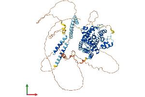 Protein Structure (PS) image for phosphodiesterase 4D, cAMP-Specific (PDE4D) (AA 1-747) protein (His tag) (ABIN7556855)