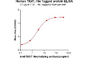 ELISA plate pre-coated by 2 μg/mL (100 μL/well) Human TIGIT, His tagged protein (ABIN6961183, ABIN7042395 and ABIN7042396) can bind Anti-TIGIT Neutralizing antibody ABIN6964437 and ABIN7272573 in a linear range of 0.