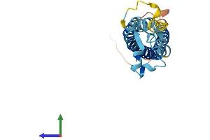 AlphaFold protein structure predicition of Mouse Recombinant Tm4sf4 Protein, UniprotID Q91XD3