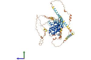 AlphaFold protein structure predicition of Mouse Recombinant Nek5 Protein, UniprotID Q7TSC3