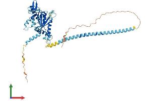 Protein Structure (PS) image for Septin 10 (SEPT10) (AA 1-452) protein (His tag) (ABIN7559166)