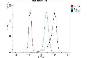 Flow Cytometry analysis of HELA cells using anti-PDE6 alpha/PDE6A antibody (ABIN7599710).