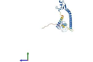 Protein Structure (PS) image for Tripartite Motif Containing 61 (TRIM61) (AA 1-209) protein (His tag) (ABIN7544721)