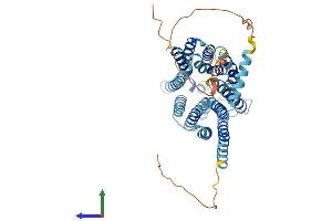 Protein Structure (PS) image for Solute Carrier Family 19, Member 3 (Slc19a3) (AA 1-496) protein (His tag) (ABIN7551706)