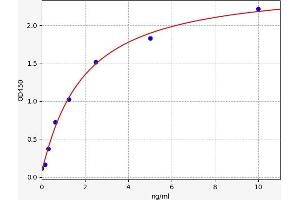 Typical standard curve (P2RX1 ELISA 试剂盒)
