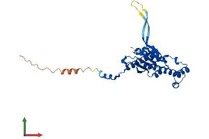 Protein Structure (PS) image for tRNA-Histidine Guanylyltransferase 1-Like (THG1L) (AA 1-298) protein (His tag) (ABIN7560744)
