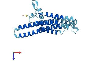 MT-ATP6 Protein (AA 1-226) (His tag)