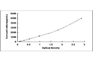 Typical standard curve (FCN3 ELISA 试剂盒)
