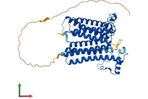 Protein Structure (PS) image for Cytochrome C Oxidase Assembly Homolog 15 (COX15) (AA 1-410) protein (His tag) (ABIN7546684)
