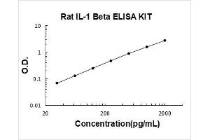 Interleukin 1, beta (IL1B) ELISA Kit