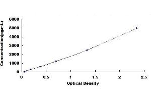 Typical standard curve (AKT2 ELISA 试剂盒)