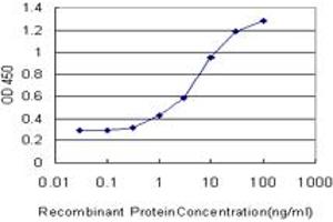 Detection limit for recombinant GST tagged MAGEA4 is approximately 0. (MAGEA4 抗体  (AA 98-171))