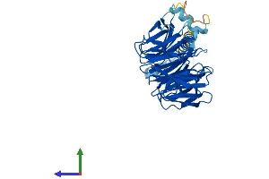 Protein Structure (PS) image for Platelet-Activating Factor Acetylhydrolase 1b, Regulatory Subunit 1 (45kDa) (PAFAH1B1) (AA 1-410) protein (His tag) (ABIN7554413)