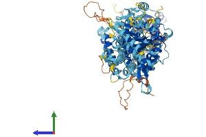 Protein Structure (PS) image for Solute Carrier Family 12 (Potassium/chloride Transporters), Member 9 (SLC12A9) (AA 1-914) protein (His tag) (ABIN7564904)