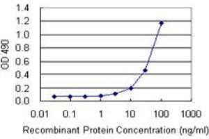 Sandwich ELISA detection sensitivity ranging from 3 ng/mL to 100 ng/mL. (HMGB1 (人) Matched Antibody Pair)