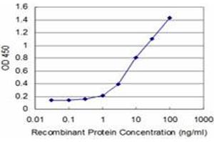 Detection limit for recombinant GST tagged HOXA5 is approximately 0. (HOXA5 抗体  (AA 171-270))