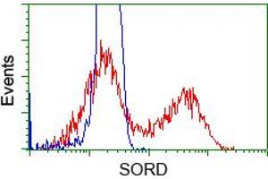 HEK293T cells transfected with either pCMV6-ENTRY SORD (RC200415) (Red) or empty vector control plasmid (Blue) were immunostained with anti-SORD mouse monoclonal (ABIN2453674), and then analyzed by flow cytometry. (SORD 抗体)