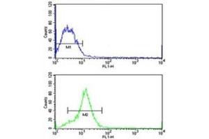 Flow Cytometry (FACS) image for anti-High Mobility Group AT-Hook 1 (HMGA1) (AA 64-93) antibody (ABIN3031200)