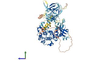 Protein Structure (PS) image for Protein Kinase C, theta (PRKCQ) (AA 1-706) protein (His tag) (ABIN7554386)