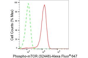 Flow cytometric analysis of Phospho-mTOR (S(ABIN7800001) expression in HeLa cells using Phospho-mTOR (S(ABIN7800001) antibody (ABIN7799348), 1:2,000). (Recombinant MTOR 抗体  (pSer2448))