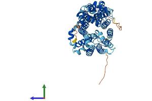 Protein Structure (PS) image for Solute Carrier Family 2 (Facilitated Glucose Transporter), Member 9 (SLC2A9) (AA 1-540) protein (His tag) (ABIN7548115)